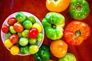 Sürdürülebilir tabak: organik gıdanın kökenlerinin takibi