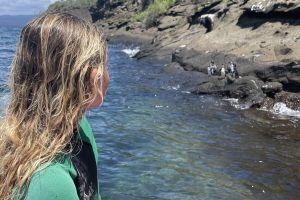 Yabani hayatı izlemeyle ilgili ipuçları ve bunun etik olarak nasıl yapılacağı