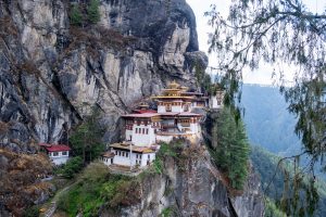 Kaplan Yuvası Yürüyüş Rehberi (2023)