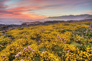 The Best Places to See California
