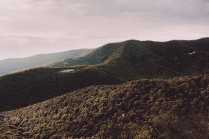Virginia'da Mükemmel Kamp Rehberi