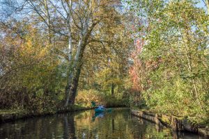 Berlin'den Mükemmel Spreewald Günü Gezisi