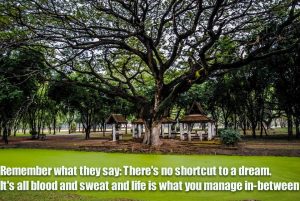 Tayland'daki Bir Manastırda On Gün Boyunca Meditasyon Yapmak