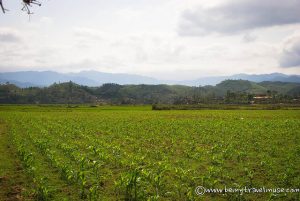 Vietnam'da Seyahat Etmek Güvenli mi?