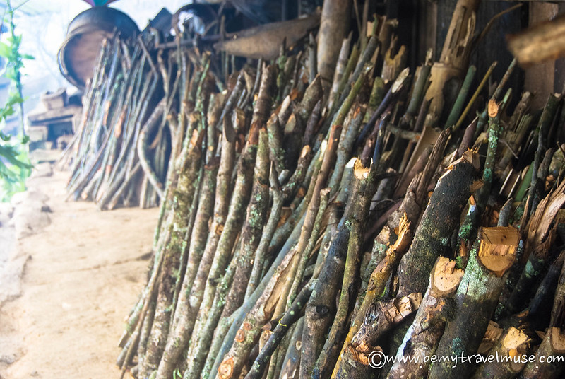 sapa vietnam yürüyüşü