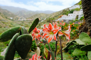 İspanya 4,8 milyon uluslararası turisti ağırladı ve bunların %79'u turist paketi olmadan seyahat etti