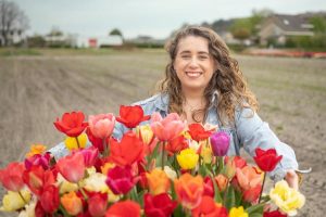 Hollanda laleleri rehberiniz: En iyi deneyim için ne zaman ve nereye gitmeli