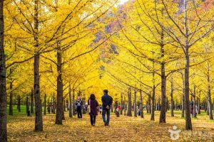 Kore'de Avrupalı ​​turistlerin başında Fransızlar geliyor