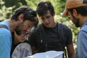 Civitatis, CEDIV ile ortaklığını duyurdu