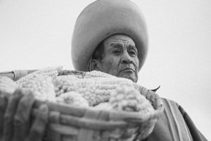 Peru gastronomisine yolculuk (3): mısır ve lucuma