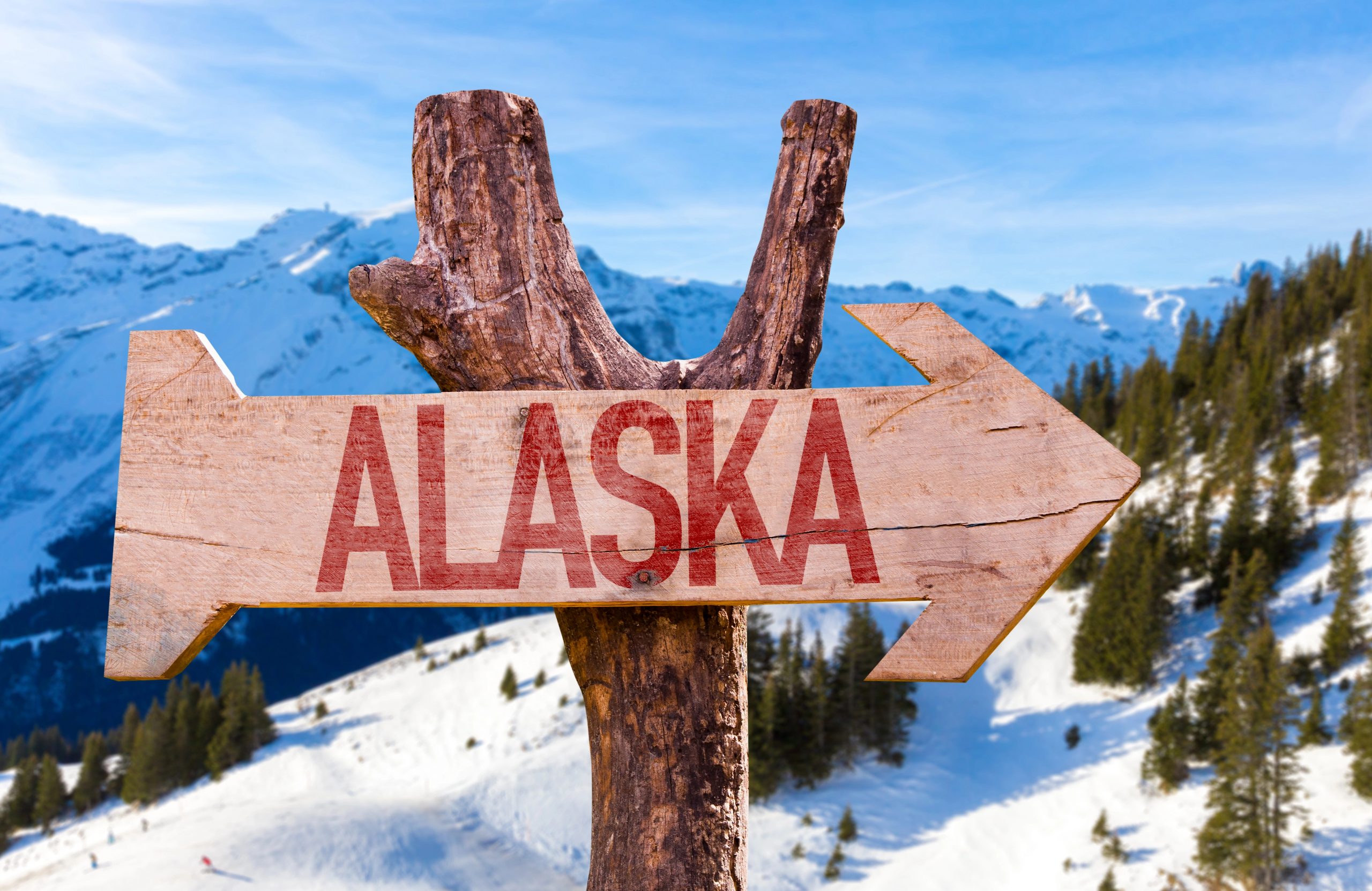 Gerçek kaşifler için Alaska keşif gezisinde
