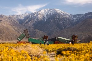 Kaliforniya'da "Desert X 2025": Açık Bir Sanatsal Kurs