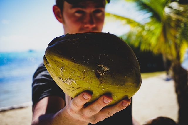 29 Nisan'da Guadeloupe Web Seminer Adaları