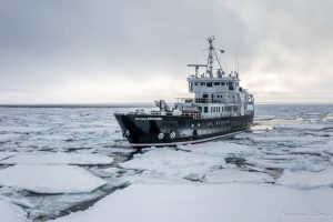 Büyük Alanlar: Bir Dünyanın Korunması İçin Keşif Seyirleri