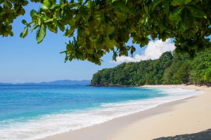 Endonezya: 6.6 büyüklüğünde bir deprem Sulawesi'nin kuzeyine çarpıyor