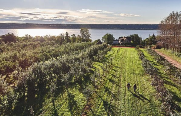 Kara ve deniz arasında gurme quebec