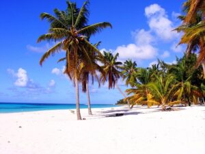 Dominique - Nature Island