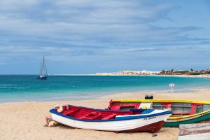 Kapak, 1000 yüzlü hedef