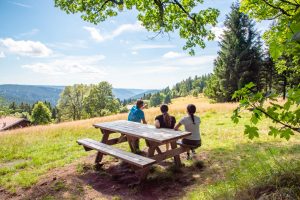 Haute-Vosges, doğa ile çevrili bir yaz
