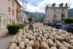 Vercors dağ meralarını kutluyor