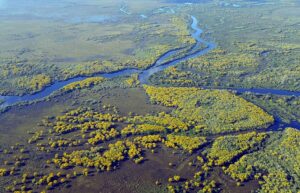 Brezilya Pantanal: Olağanüstü Bir Gezinin Tiyatrosu