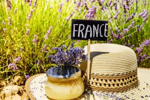 Fransa'da Yaz Turizmi 2025'in Gözden Geçirilmesi: Kontrast Bir Piyasa