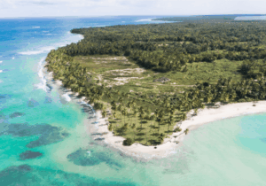 Mills, Yeni Karayip İnci