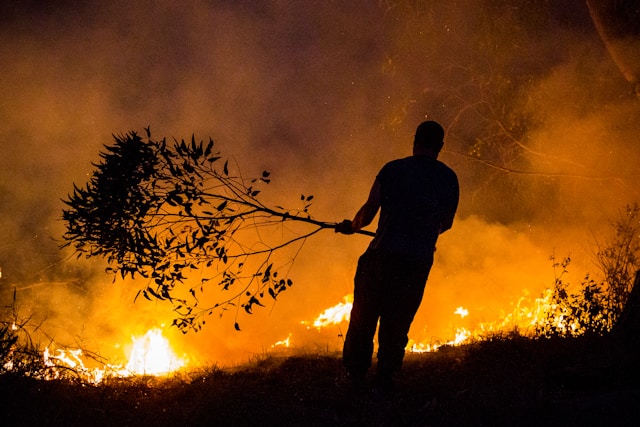 Namibya Etosha Milli Parkı'nda yangınlar için savaşıyor