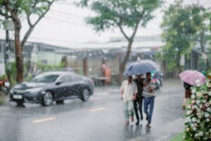 Güneydoğu Asya'da yıkıcı sel: Vietnam, Tayland ve Malezya'ya yönelik tehdit