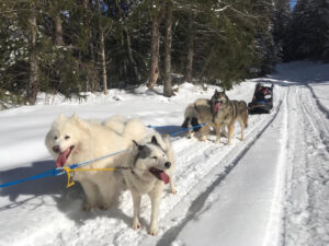 Aile tatilleri için Isère