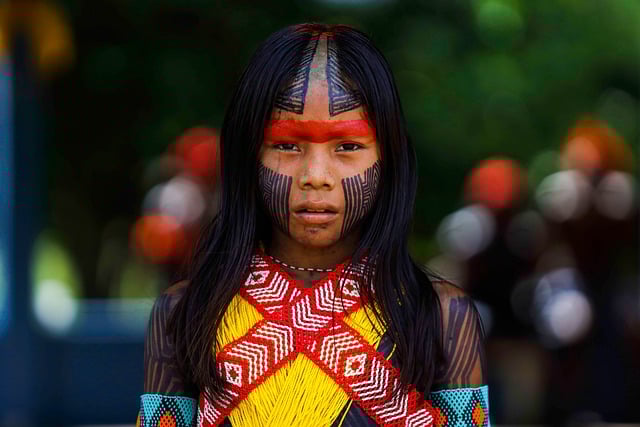 Brezilya: Latin Amerika'daki en uzun işaretli yol Amazon'dadır