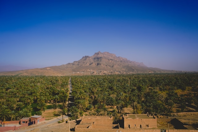 Hilton, Marakeş'in palmiye korusuna yerleşiyor