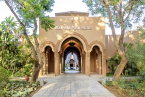 Barcelo palmiye korusu 