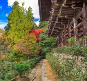 Japonya: Kobe ve ayrıca Hyōgo