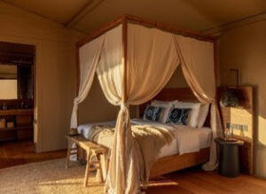 AMAR Luxury Desert Eco-Lodge: Emirliklerdeki Lüks Bedevi Mirası