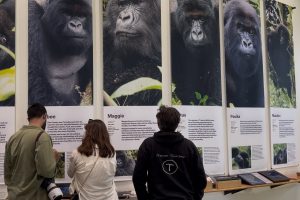 Ruanda'da Dian Fossey'in izinde
