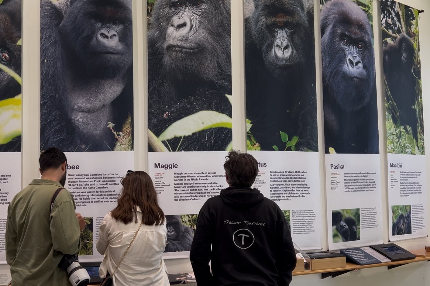 Ruanda'da Dian Fossey'in izinde