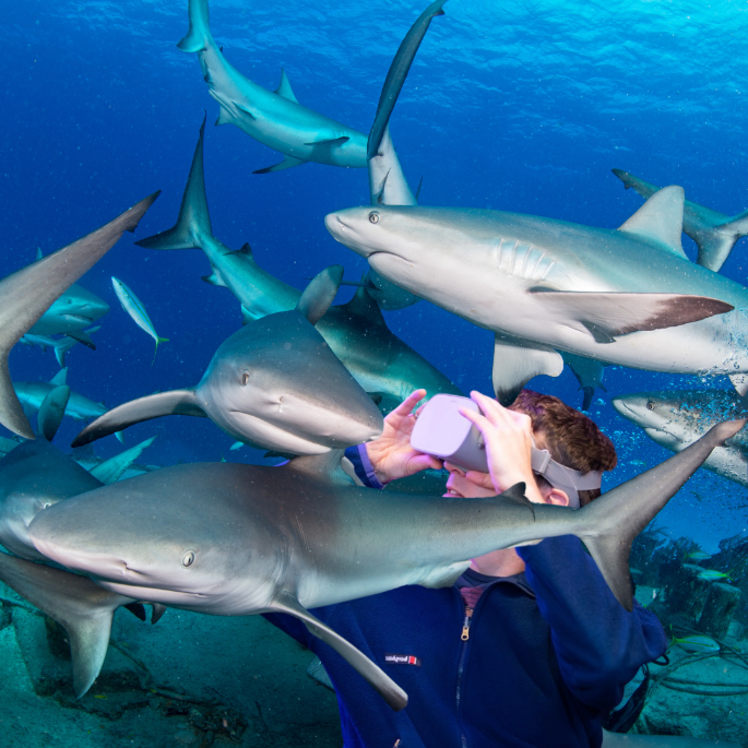 Bahamalar 8 Ocak'ta Paris'teki Tüplü Dalış Gösterisinde
