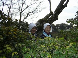 Tokyo'daki yetiştiriciler - @ herve.ducruet