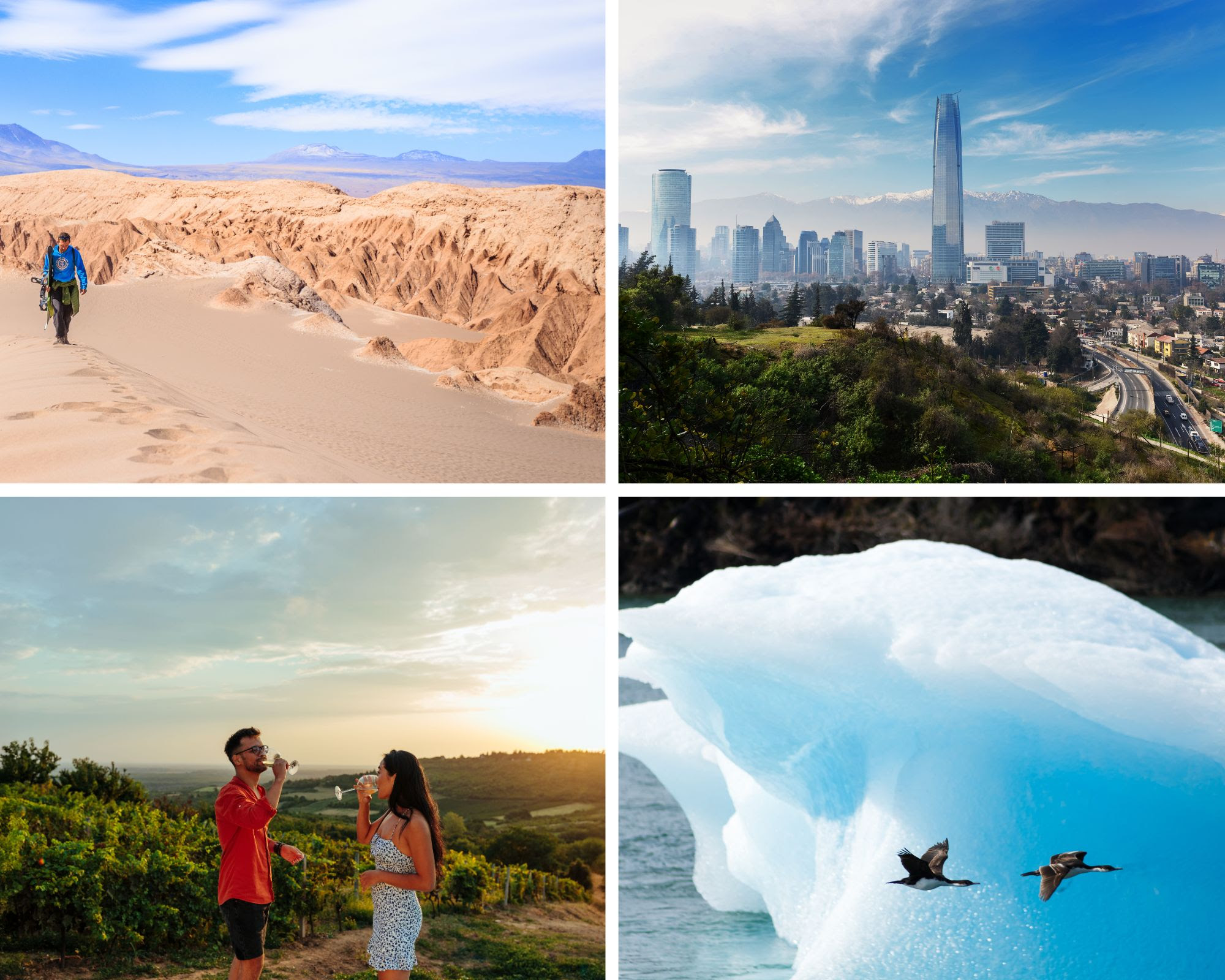 Çöl, üzüm bağları ve buzullar: Şili tek seferde dünya çapında bir gezidir