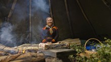 Hurtigruten ile Sámi lezzetlerini keşfetmek