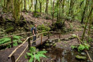 Kanarya Adaları: La Gomera'da turizm yavaşlıyor