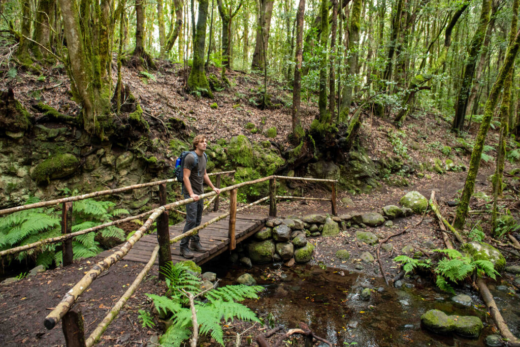 Kanarya Adaları: La Gomera'da turizm yavaşlıyor