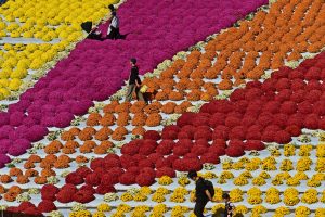 Bahçe trendleri: Setouchi'de (Japonya) keşfedilecek 5 olağanüstü yer