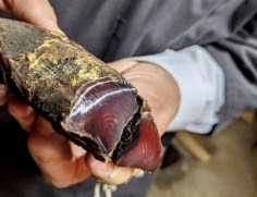 Japon umamisini biliyor musun? İşte denizin 5. lezzetini ortaya çıkardığı yarımada