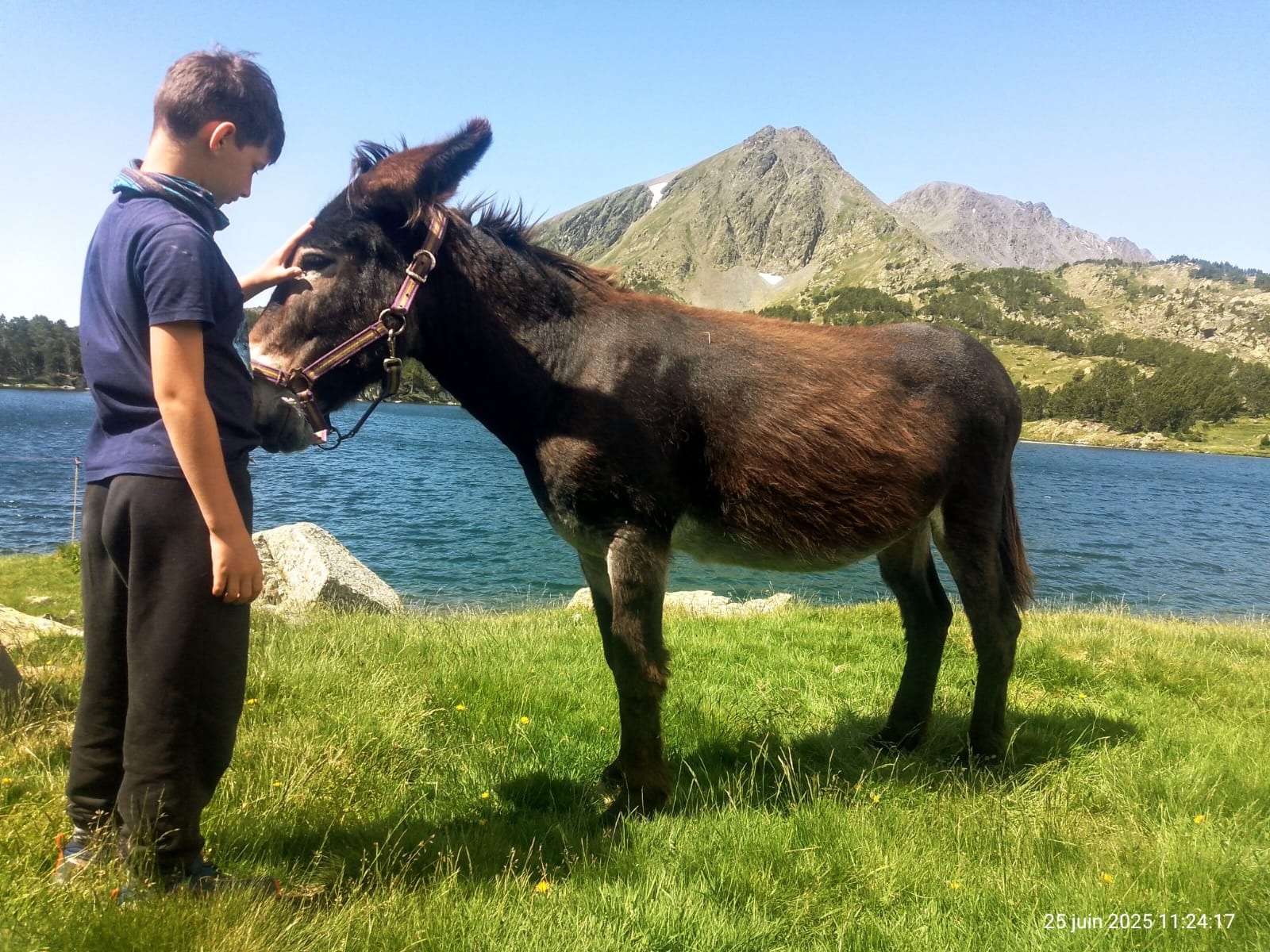 Eşekle yürüyüş yapmayı keşfetmek için ulusal bir hafta sonu