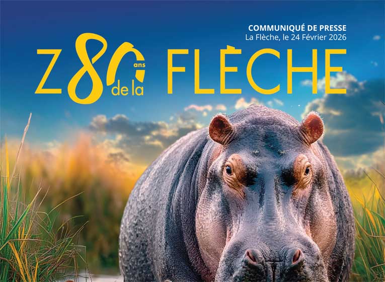 La Flèche Hayvanat Bahçesi'nde yeni: 2026 için su aygırlarına ve geleceğin sürükleyici pansiyonlarına adanmış yeni bir alan