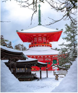 ANA: Tokyo'da hiçbir ekstra ücret ödemeden mola verin, ardından Japonya'yı içeriden keşfedin