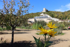 Sebze ve meyve bahçesinden görünüm ©Château de La Roche-Guyon