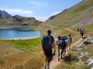 Eşekle yürüyüş yapmayı keşfetmek için ulusal bir hafta sonu